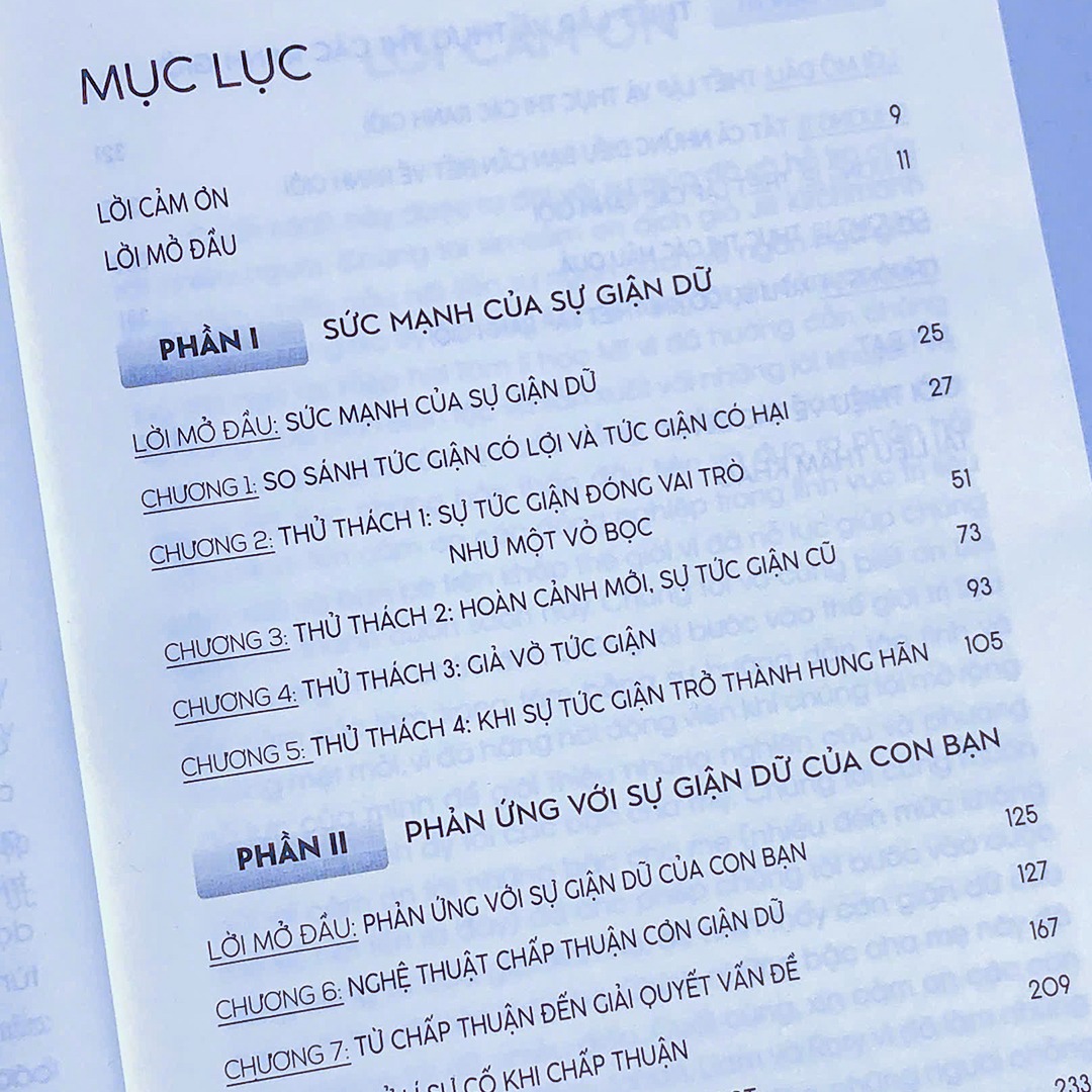 Sách Trẻ Cáu, Cha Mẹ Gắt - Hiểu Và Xử Lí Cơn Giận Trong Gia Đình