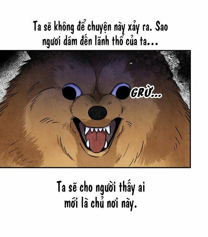tai sói và mũ đỏ chapter 31 13