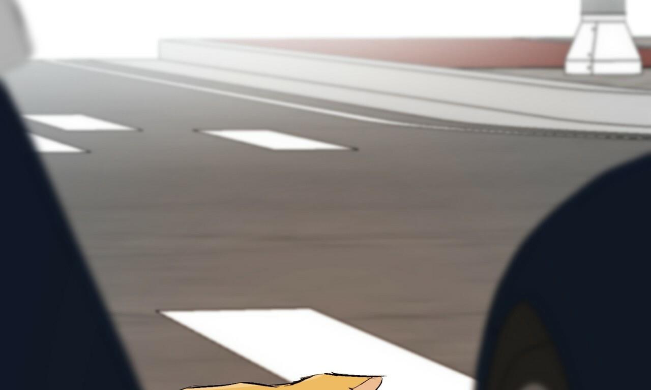 đàn thỏ của habibi chapter 50 190