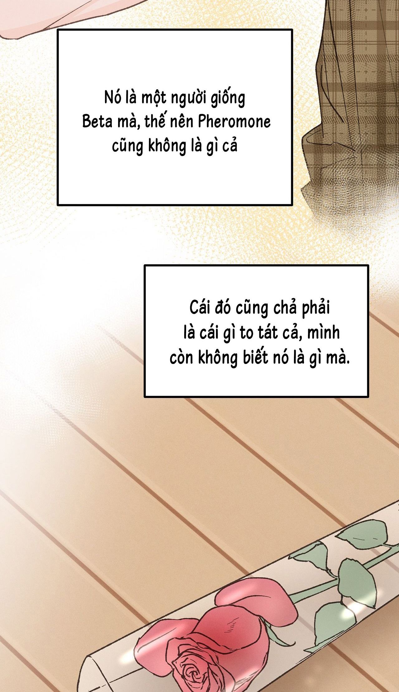 vùng cấm tình yêu của beta chapter 25 16