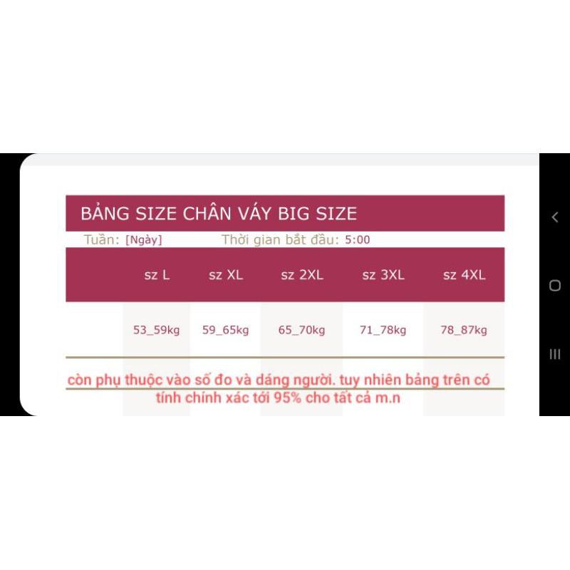 Chân váy xếp ly túi trước C019