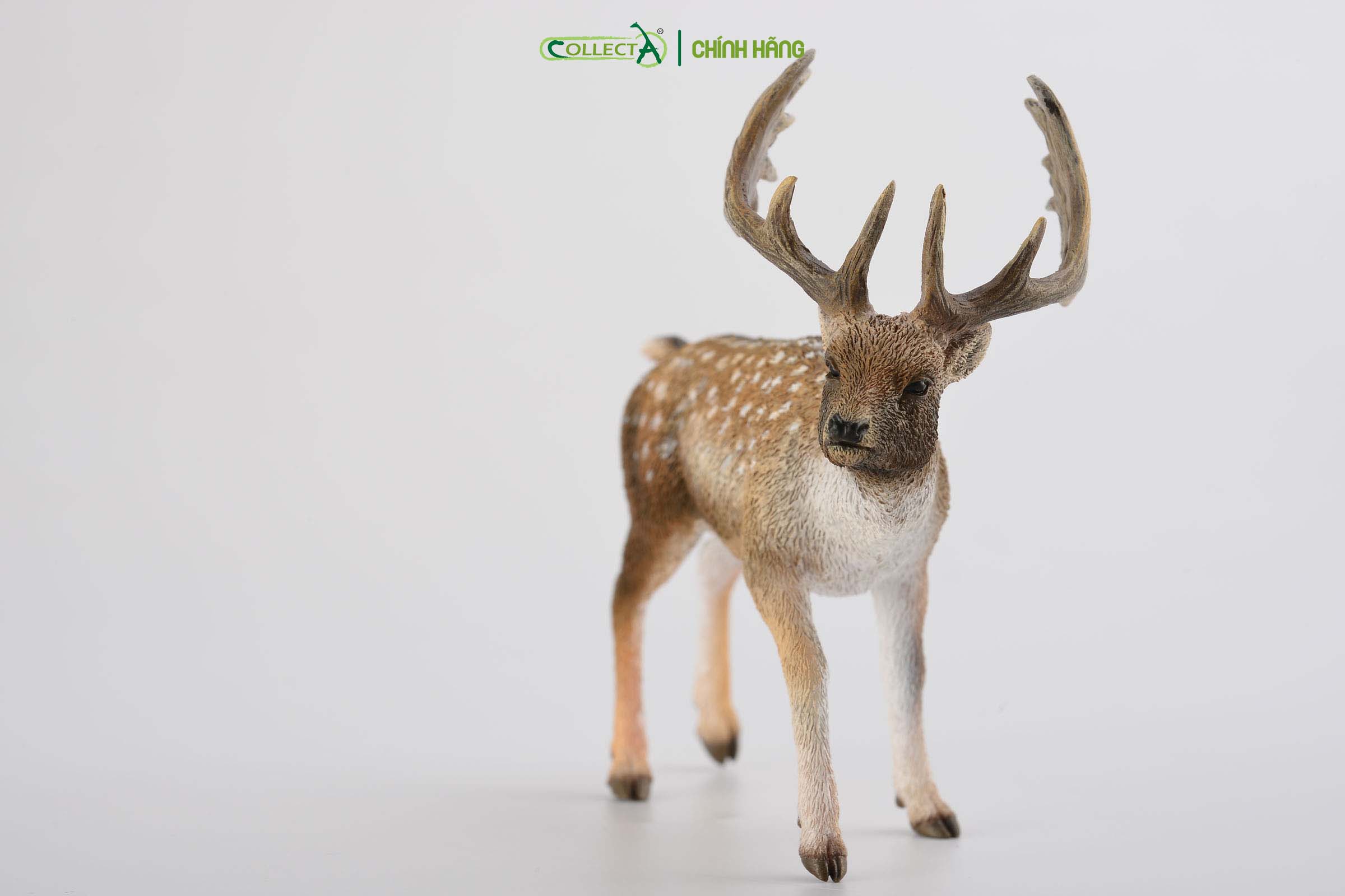 Mô hình thu nhỏ: Hươu - Fallow Deer Male, hiệu: CollectA, mã HS 9651350[88685] -  Chất liệu an toàn cho trẻ - Hàng chính hãng