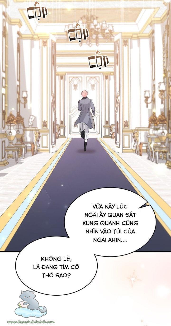 quan hệ cộng sinh giữa báo đen và thỏ trắng chapter 64 65