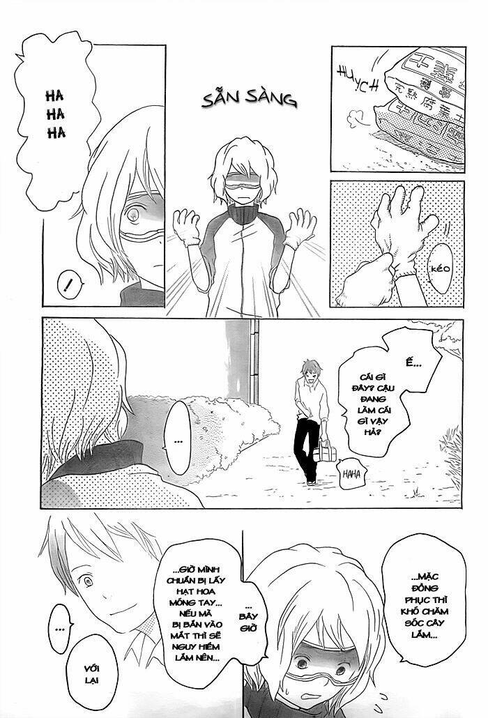 impatiens chapter 1 8