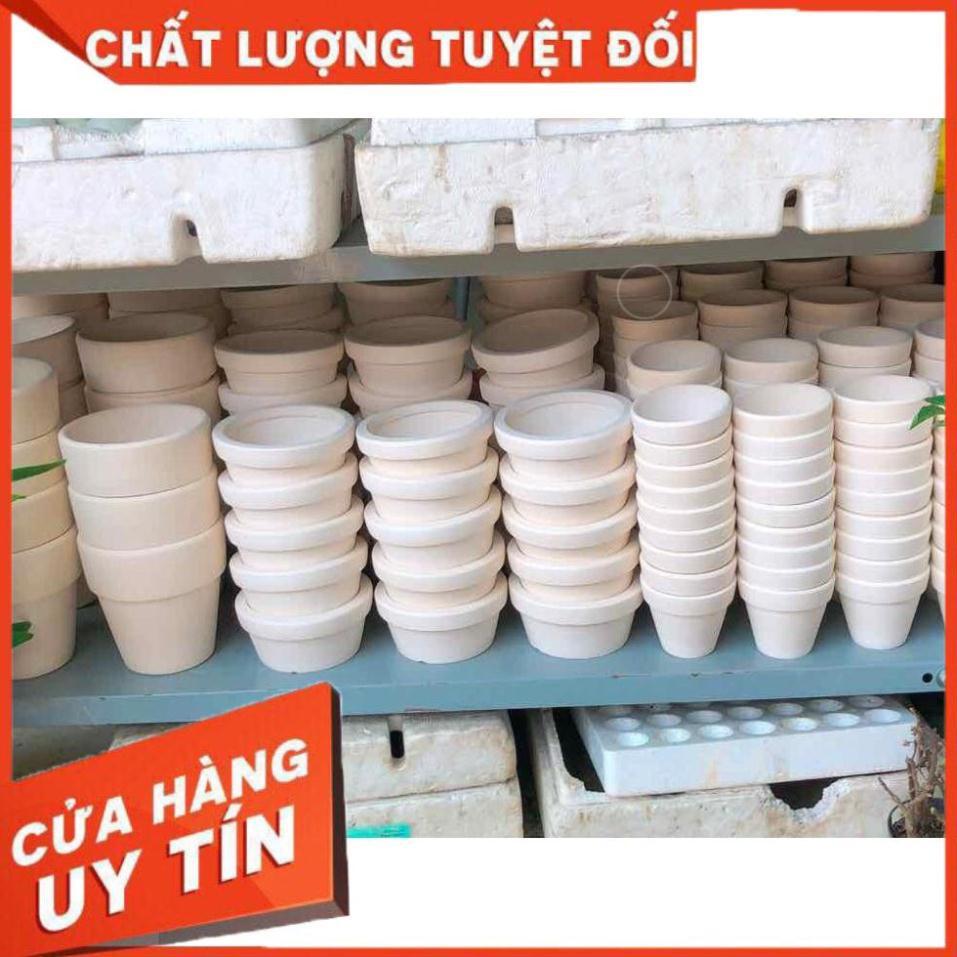 Chậu đất nung trồng cây Nhiều Người Mua