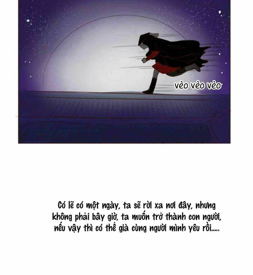 mẫu phi đuôi của người lộ ra rồi kìa chapter 0.4 8