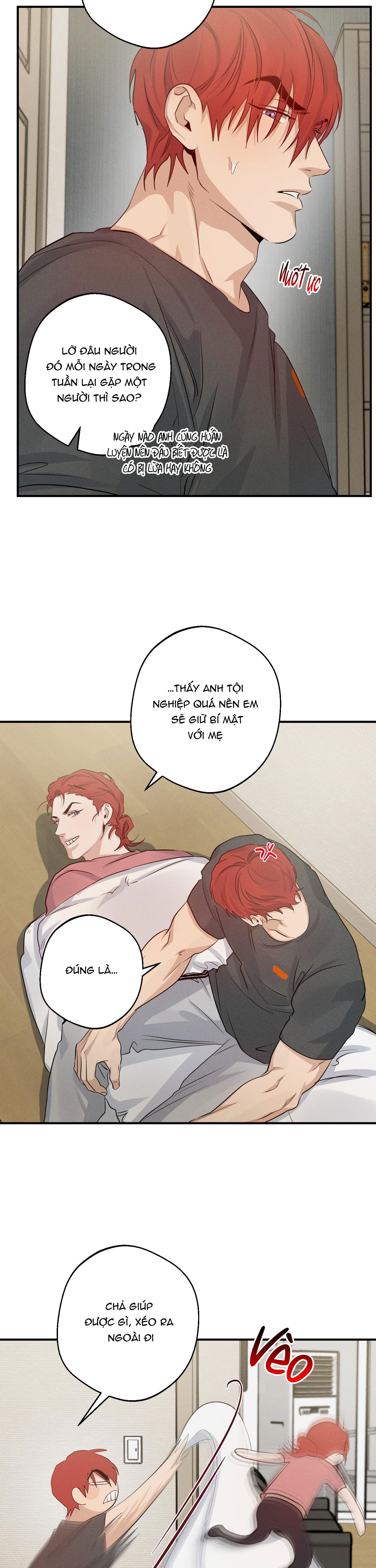 high clear chapter 31 21