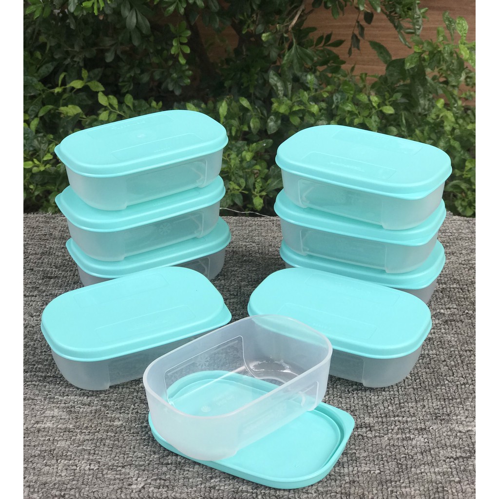 Hộp Trữ Đông Mini TUPPERWARE 140ml