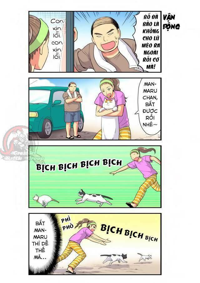 cat is silver vine chapter 19 2