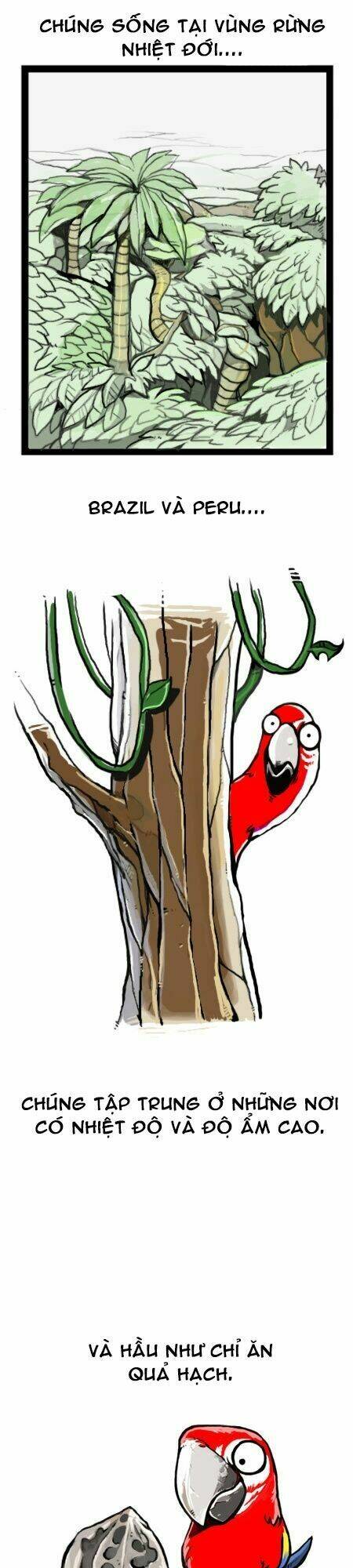 earth, human, and animal chapter 11 6