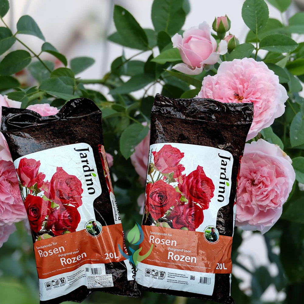 Đất trồng hoa hồng Jardino Rosen có chất lượng cao, kích thích rễ phát triển và sai hoa và bền màu