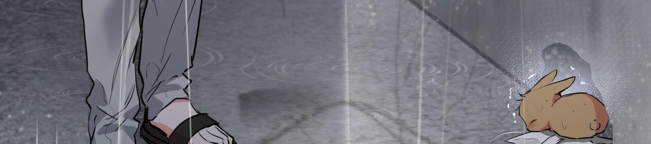 đàn thỏ của habibi chapter 34 265