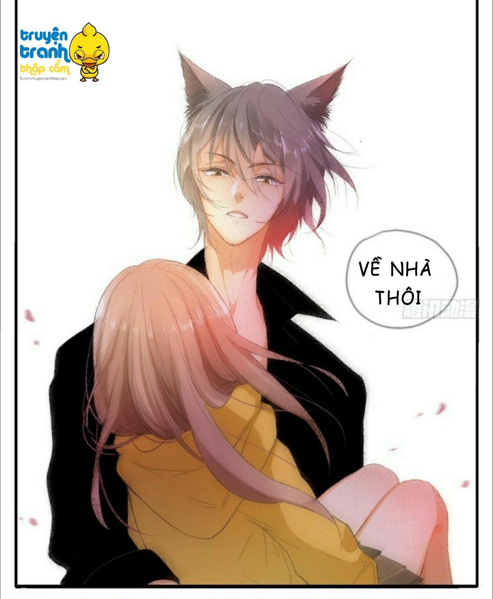 cứu mạng ! loài mèo thống trị thế giới rồi ! chapter 35 9