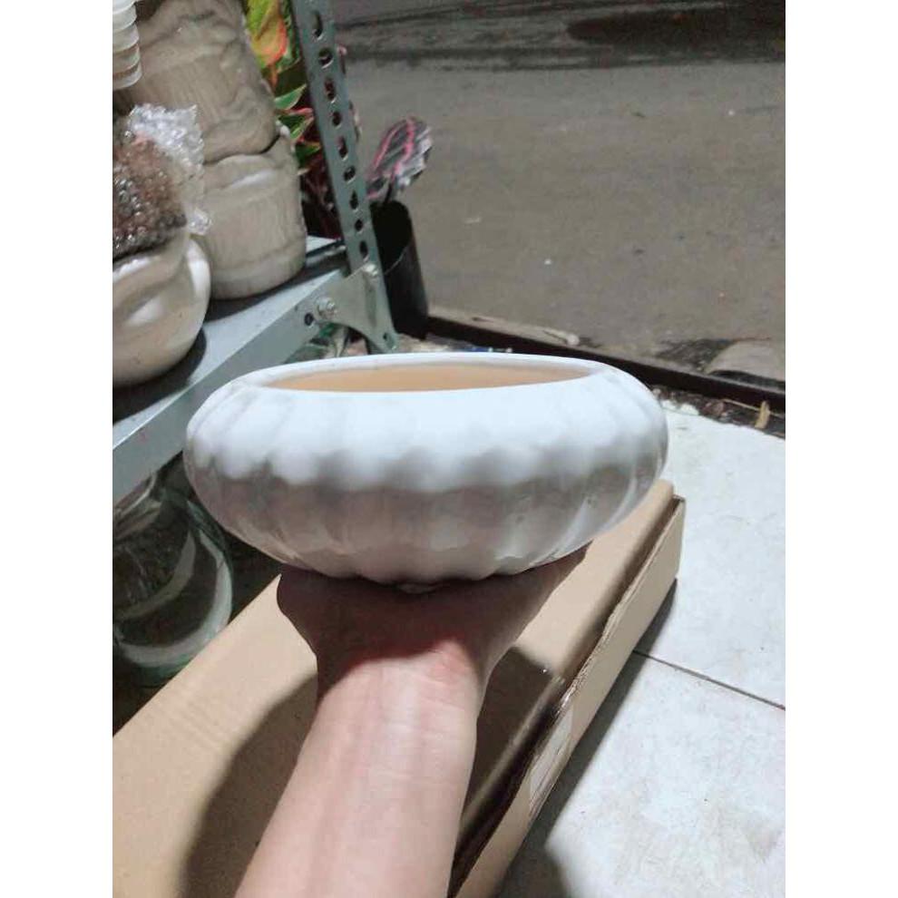Chậu Trồng Cây Bán Chạy