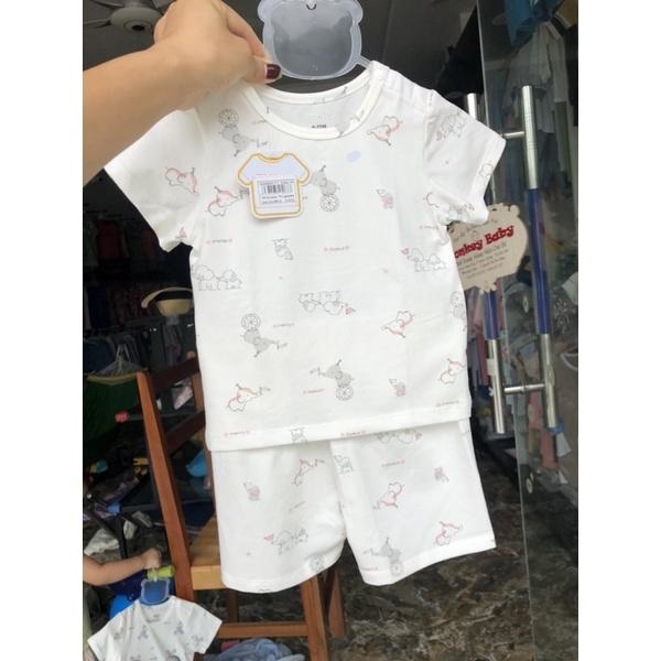 Bộ cộc tay cotton