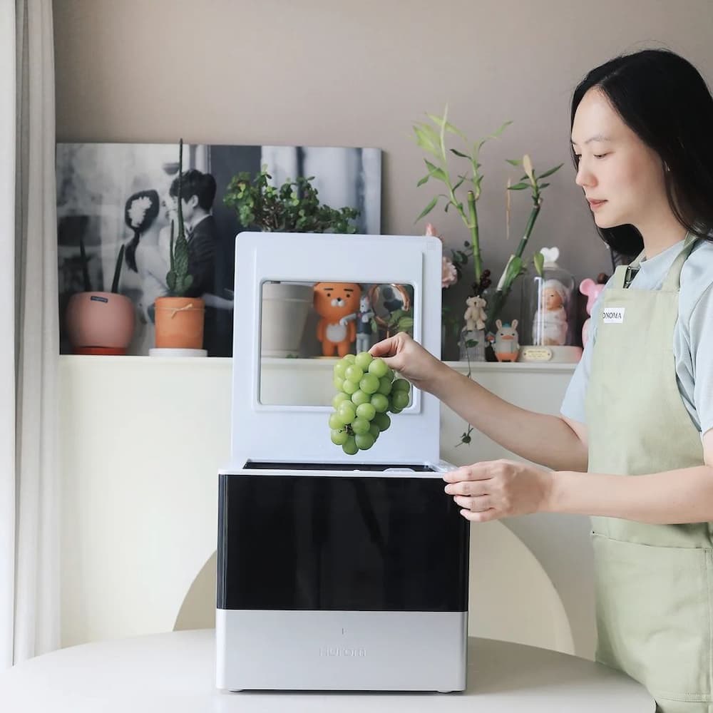 MÁY RỬA THỰC PHẨM HUROM UC-B01 - Hàng Chính Hãng