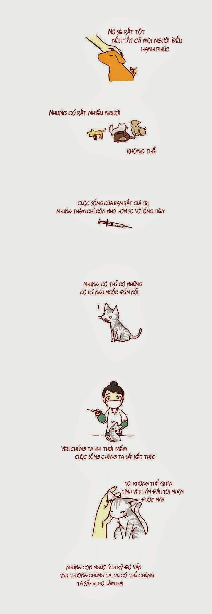 mèo con và chú chó già của tôi chapter 10 2
