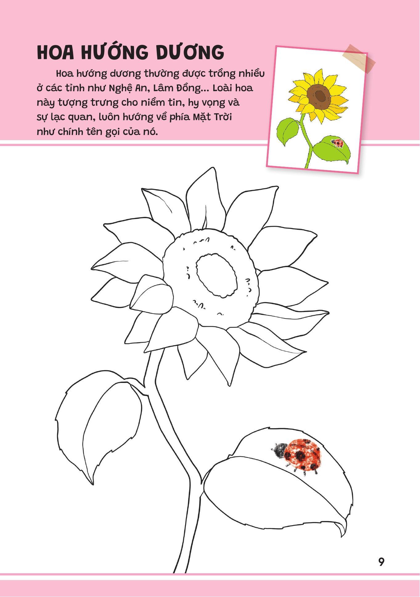 Sách - Yêu Quá Việt Nam - Các Loài Hoa