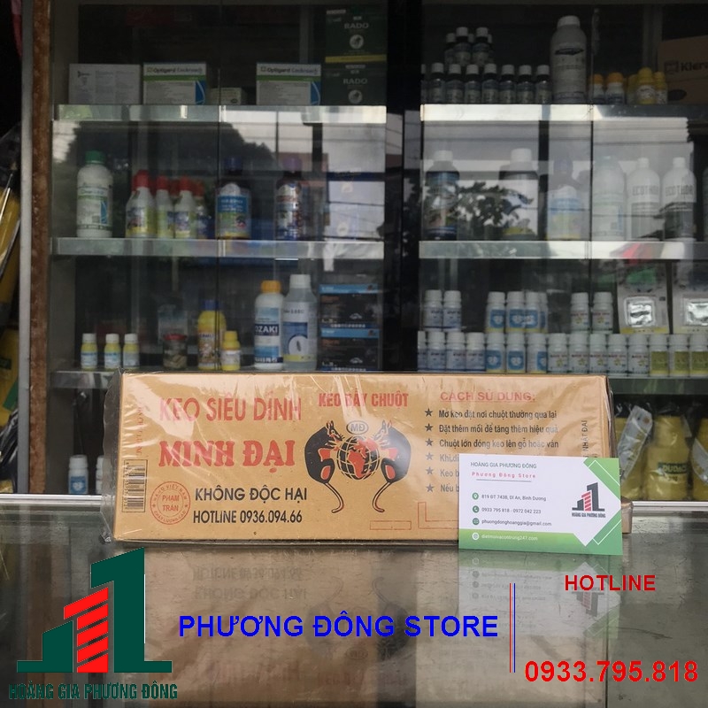 Keo dính chuột hộp giấy