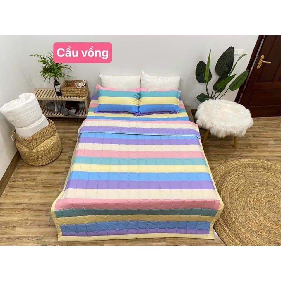 Bộ ga gối cotton poly giá rẻ 4 món