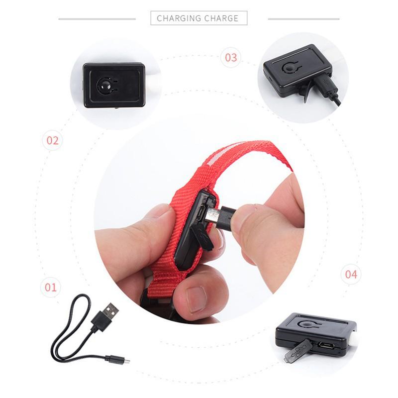 Vòng cổ LED phát sáng, chống đi lạc cho chó