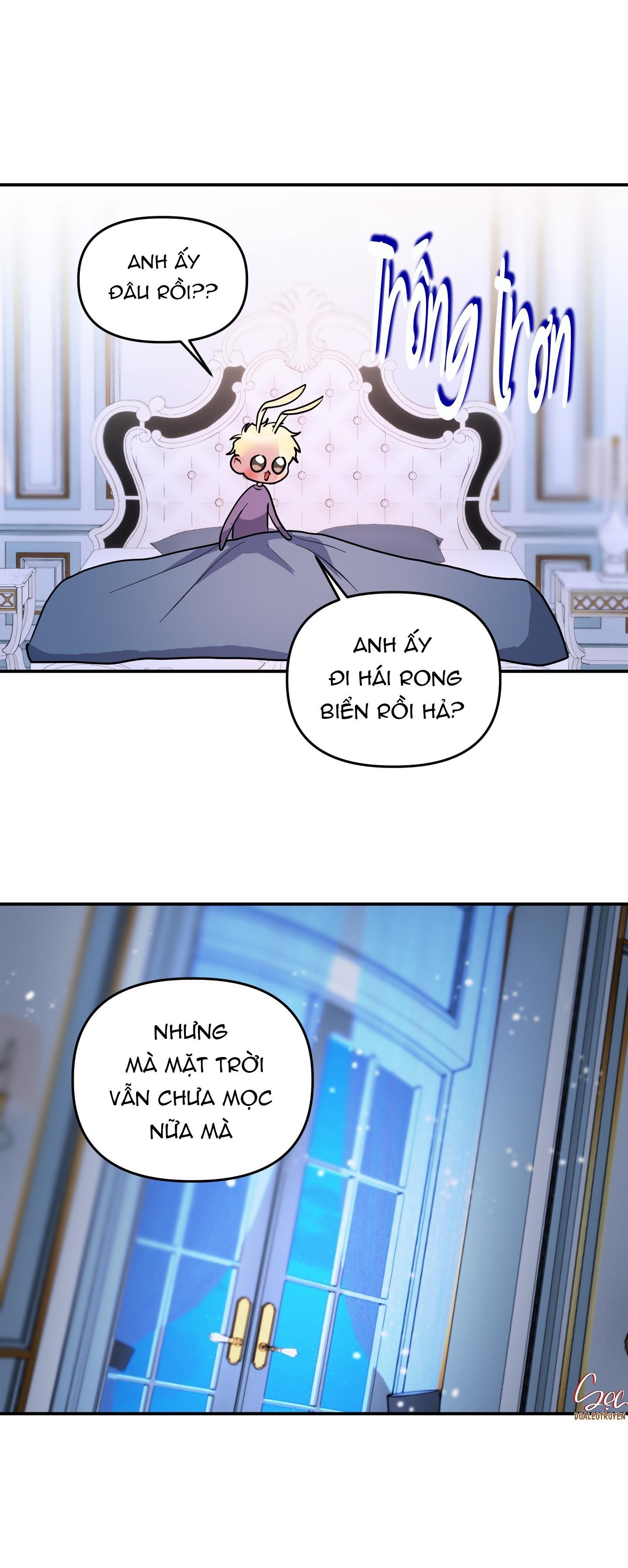 cá mập và cô dâu thỏ chapter 52 3