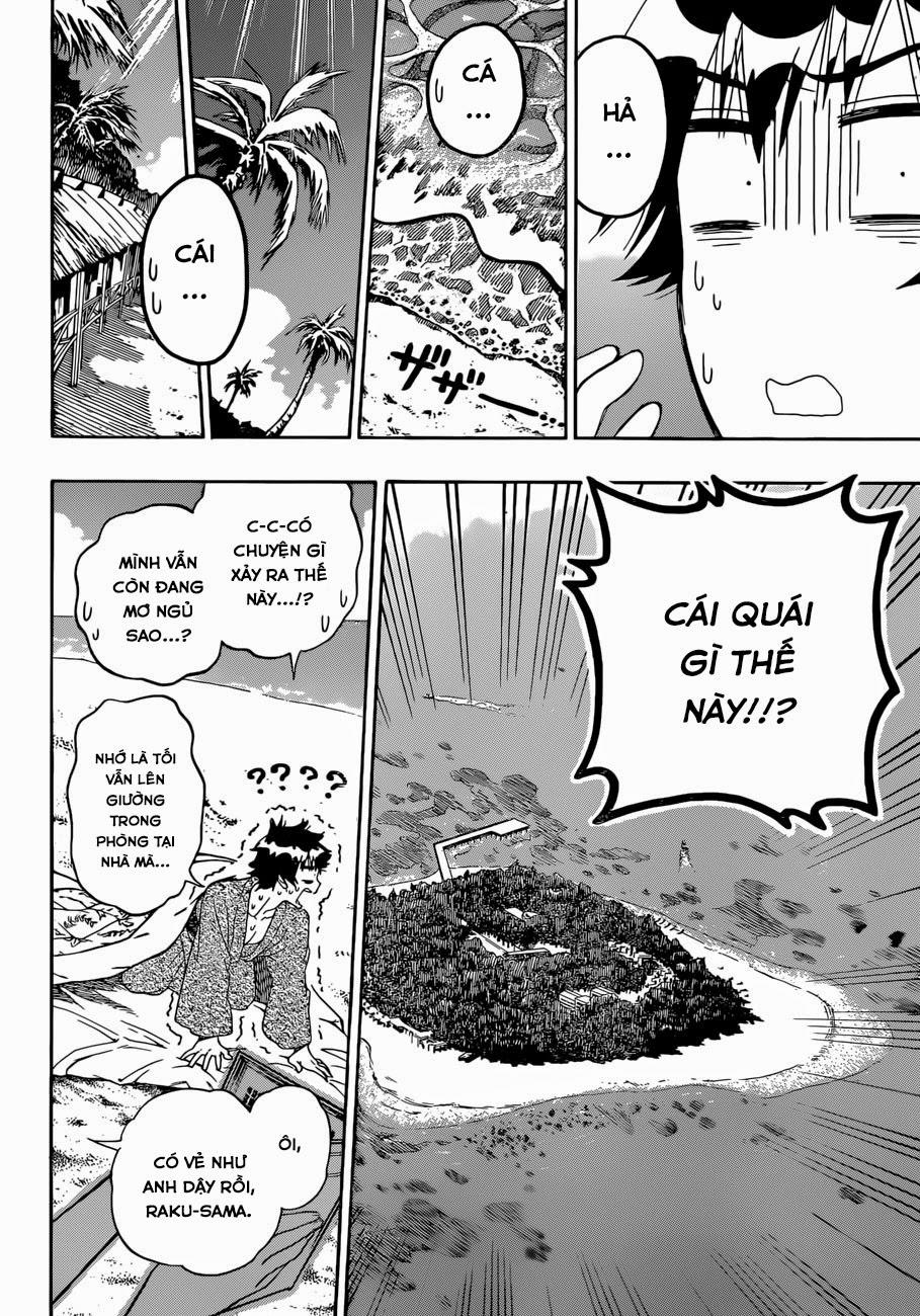 nisekoi - tình yêu giả tạo chapter 169 4