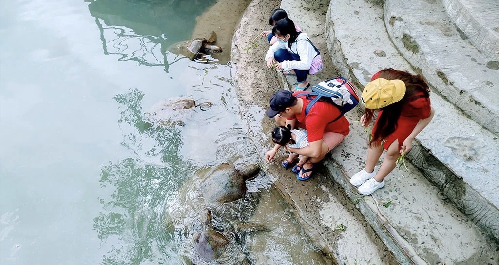 Tour Tham Quan 4 Đảo Nha Trang Trong Ngày Bằng Tàu Gỗ