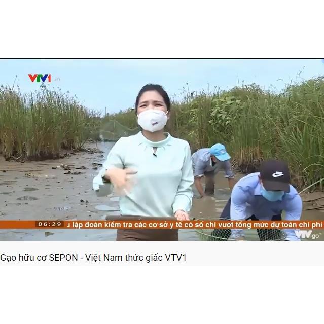 Gạo VIETGAP SEPON - Giống ST25- Gạo ngon nhất thế giới . 5kg