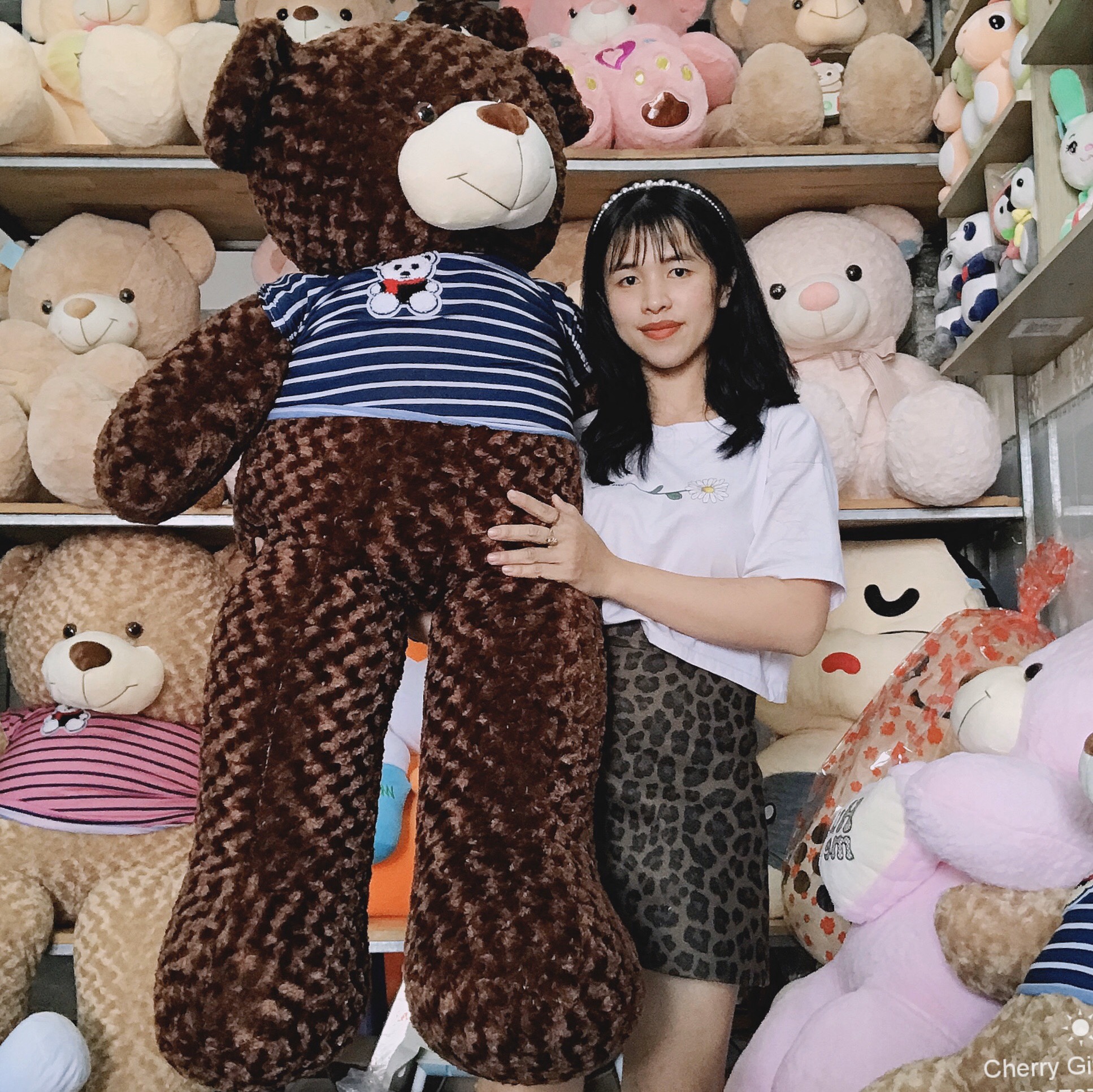 Gấu Bông Teddy Áo Thun Cao Cấp Giá Sốc 1m6 Ảnh Shop Chụp