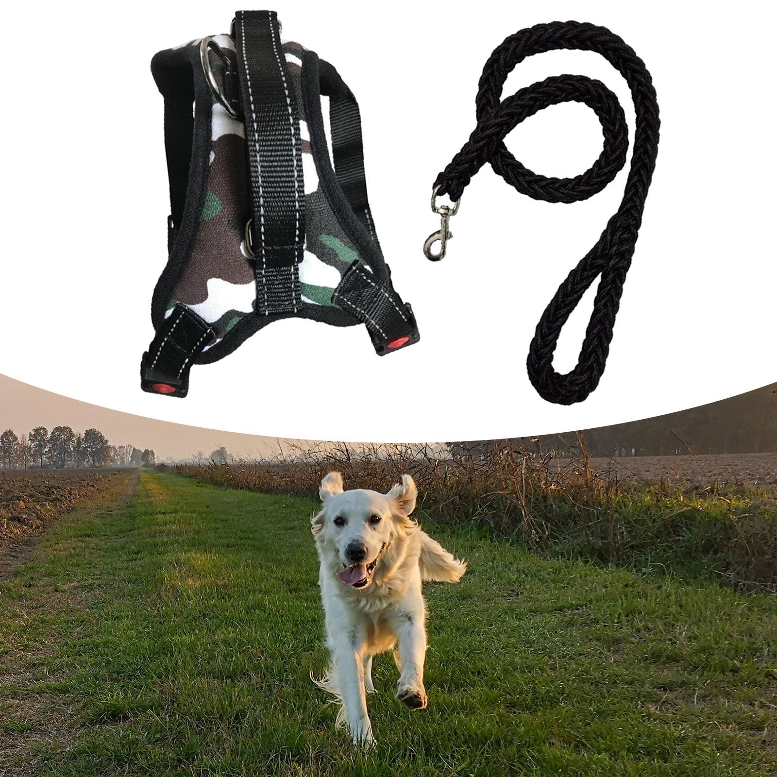 Dog Harness and Dog Leash Reflective Pet Chest Strap Comfortable for Walking M