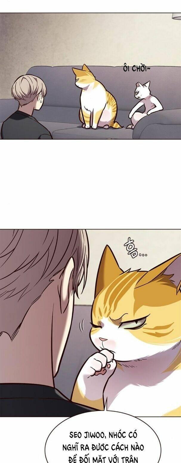 biến thân thành mèo chapter 173 26