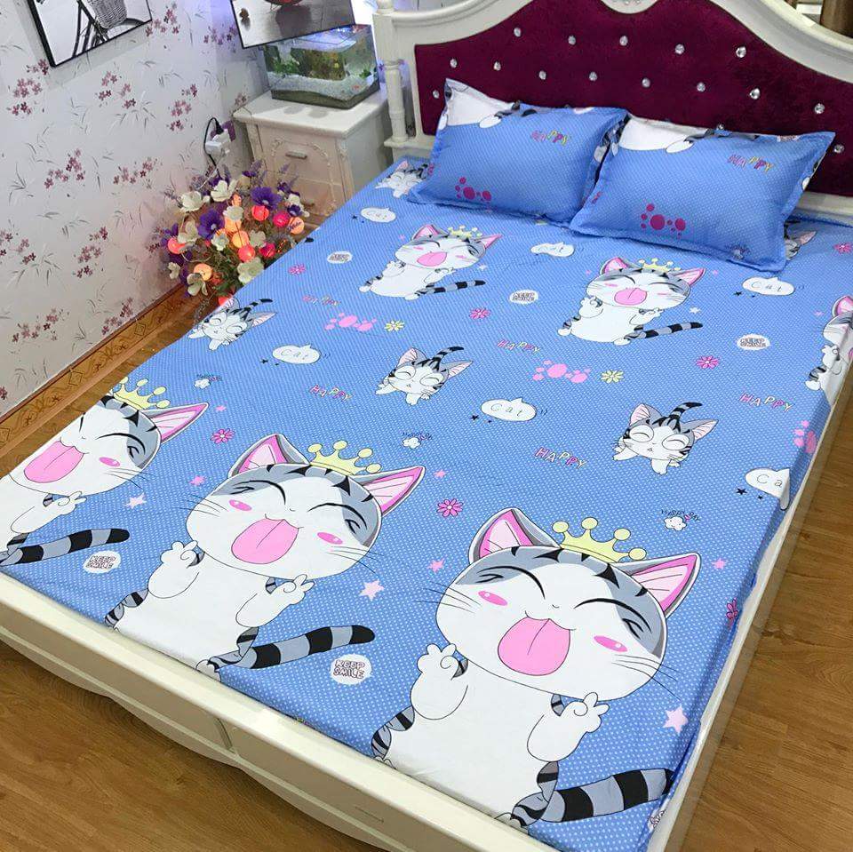 Set 5 món chăn hè ga chun Cotton Poly - Mèo - Tặng kèm 1 móc khóa Houston