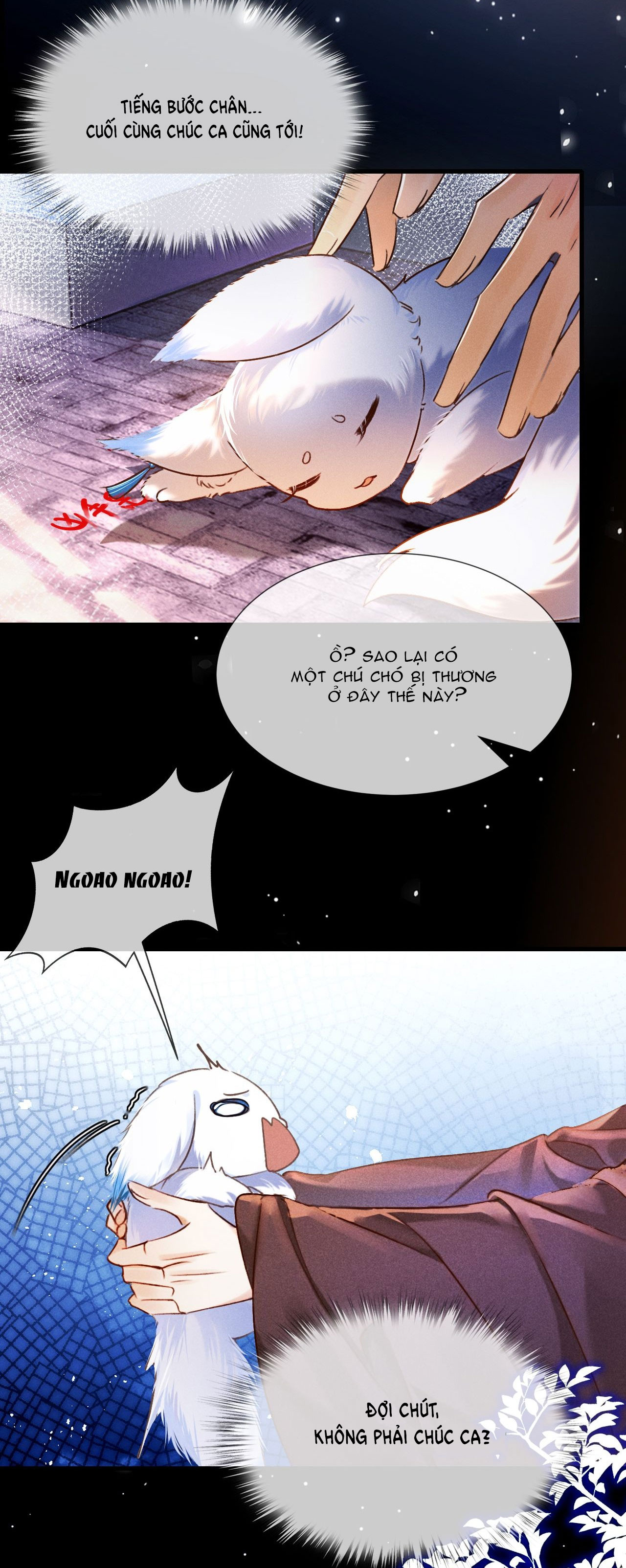 tại sao nam chủ lại quyến rũ tôi chapter 10.1 14