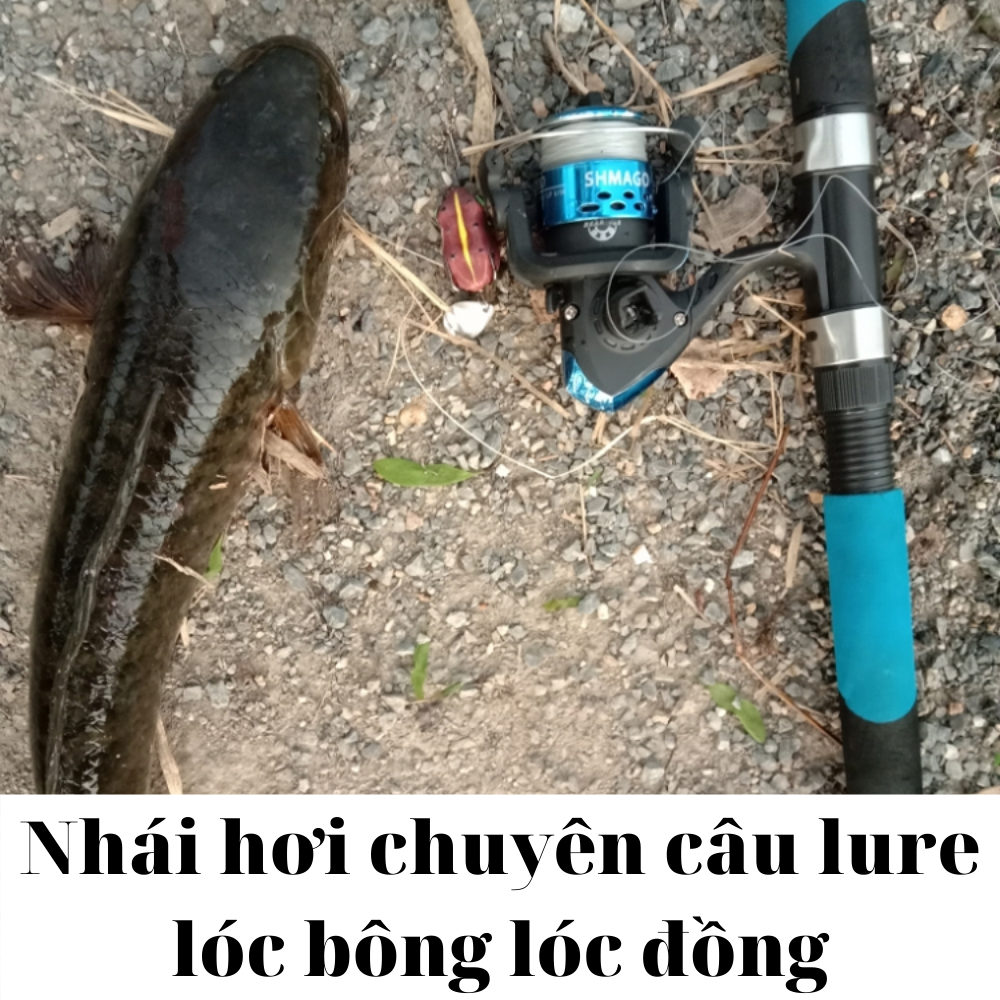 Mồi nhái giả câu lóc v3 bull nặng 7g x 4.5cm có thìa xoay, nhái hơi nổi câu cá chuối sộp cá lóc hồ giải trí hiêu quả