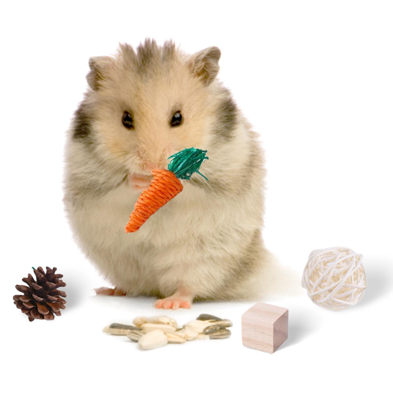 Hamster Chew Toys for Teeth, Natural Wood Swing Exercise Woven Ball Molar Toys for Rabbit Bunny Chinchilla Guinea Pig Gerbils Groundhog Squirrels