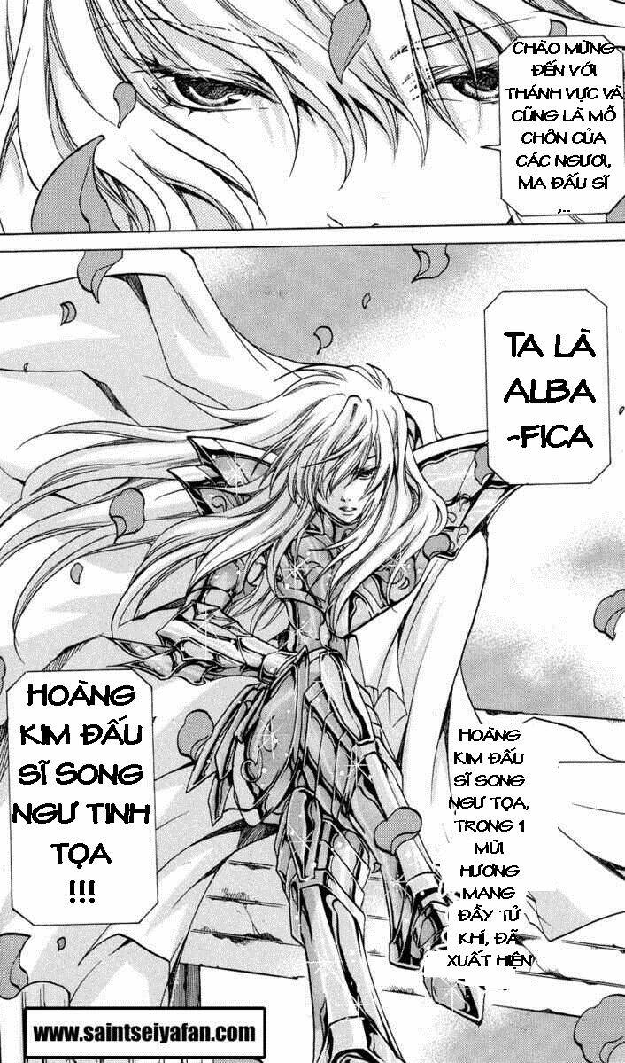 áo giáp vàng: thánh đấu sĩ thiên mã chapter 17 19