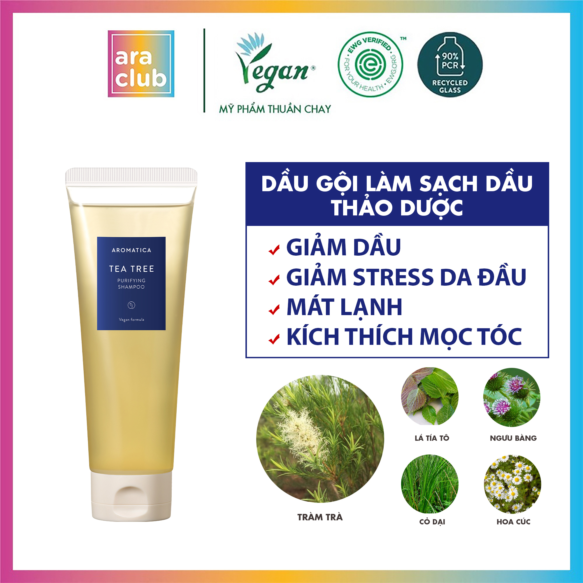 Dầu Gội Giảm Dầu Chiết Xuất Tràm Trà Aromatica Tea Tree Purifying Shampoo 180ml