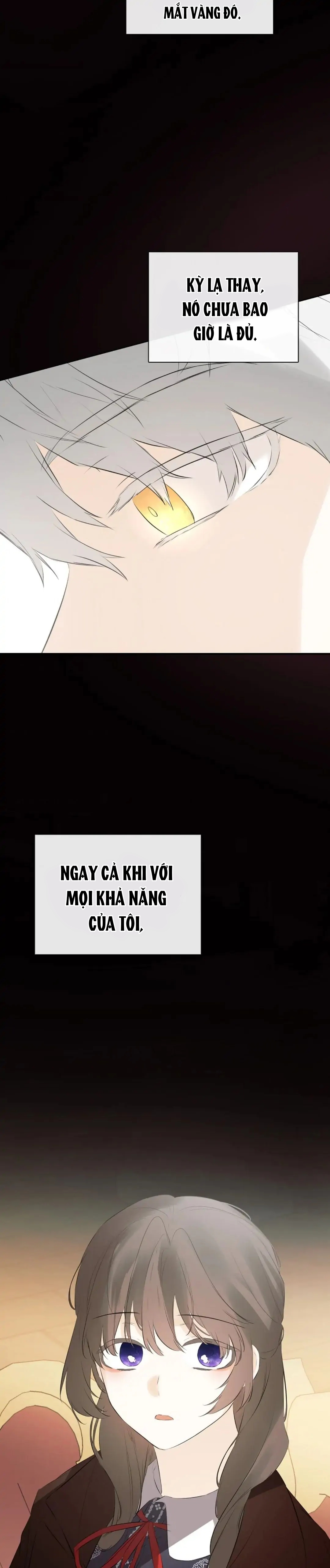 tôi biết bí mật của nam phụ chapter 36 32