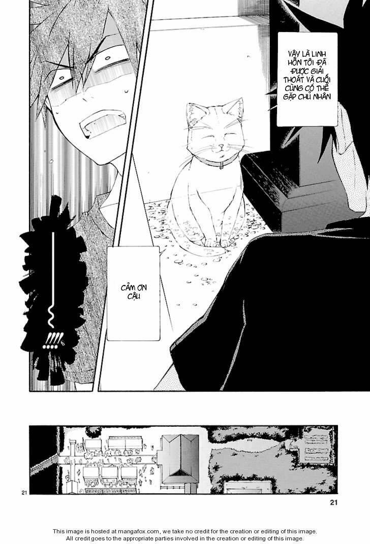 nyankoi! chapter 25 22