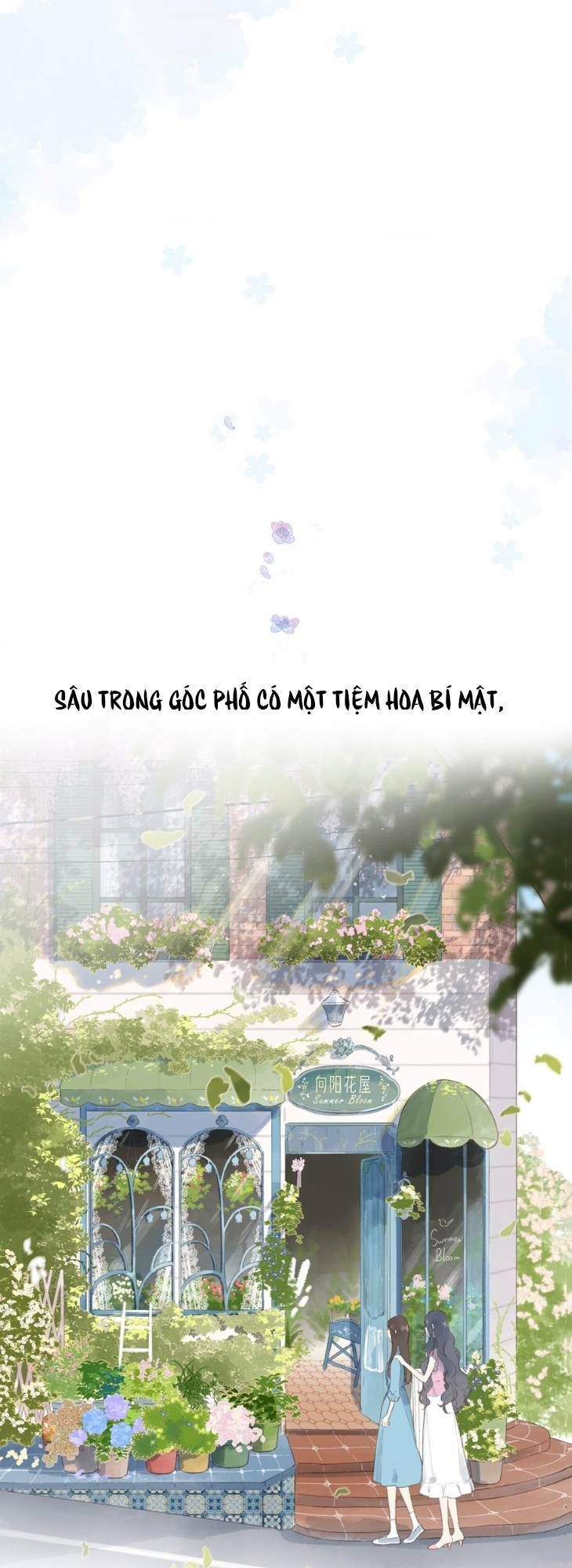 tiệm hoa hướng dương góc phố chapter 0 1
