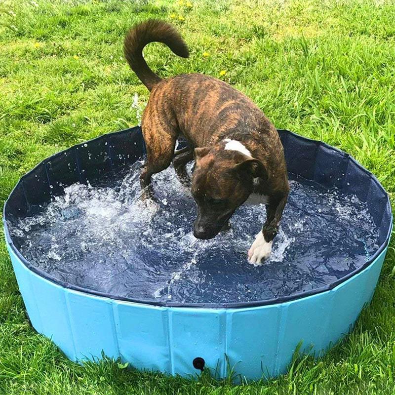 Hồ bơi tắm rửa cho Thú Cưng PORTABLE PAW POOL 80x20cm - AsiaMart