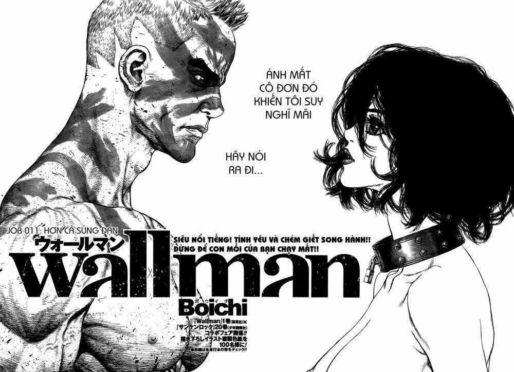 wallman chapter 11 4