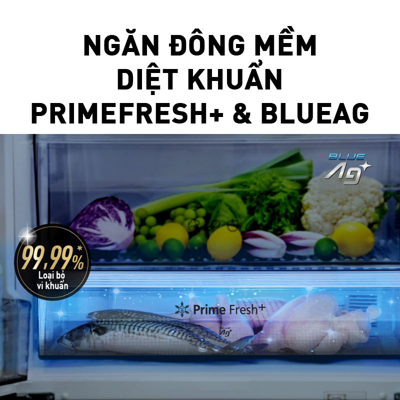 Tủ Lạnh 2 Cánh Panasonic 255 Lít NR-BV280GKVN ngăn đá dưới - Ngăn đông mềm siêu tốc - Hàng chính hãng