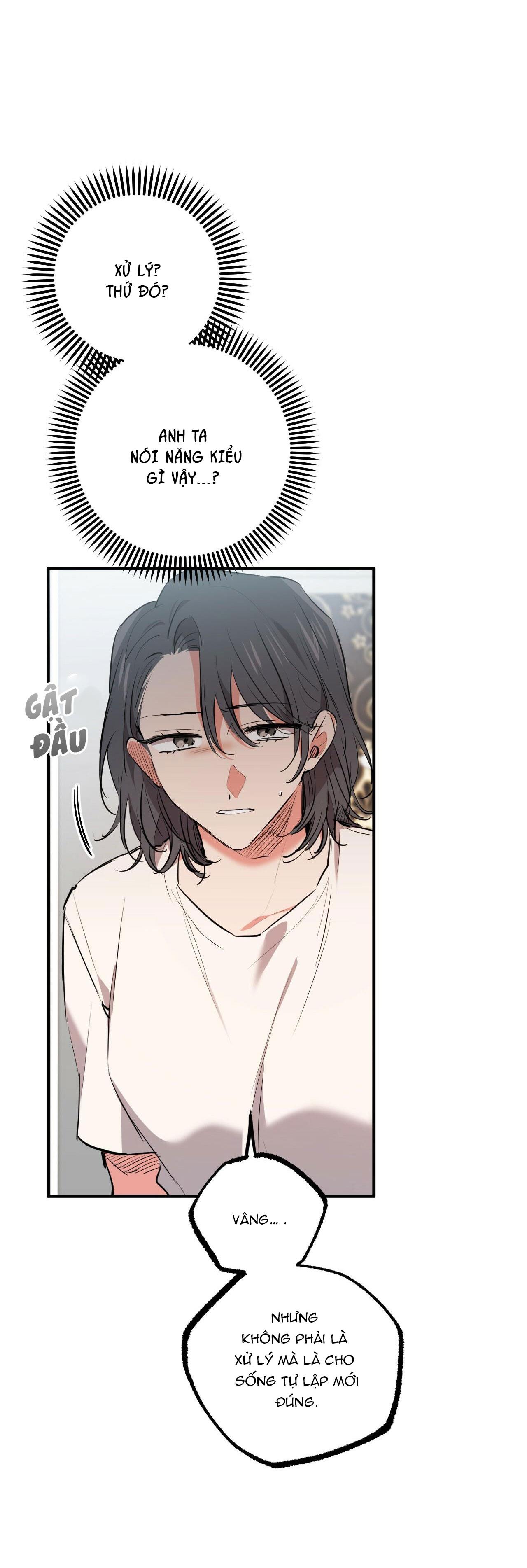 những chú thỏ của hapypy chapter 36 25