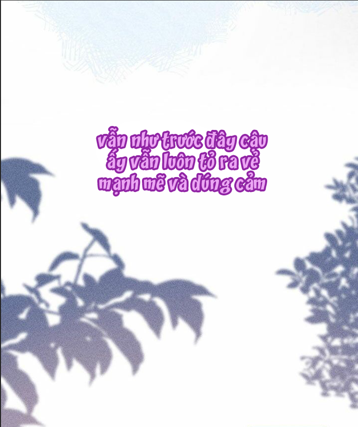 nỗi buồn của hoa cẩm tú cầu chapter 29 6