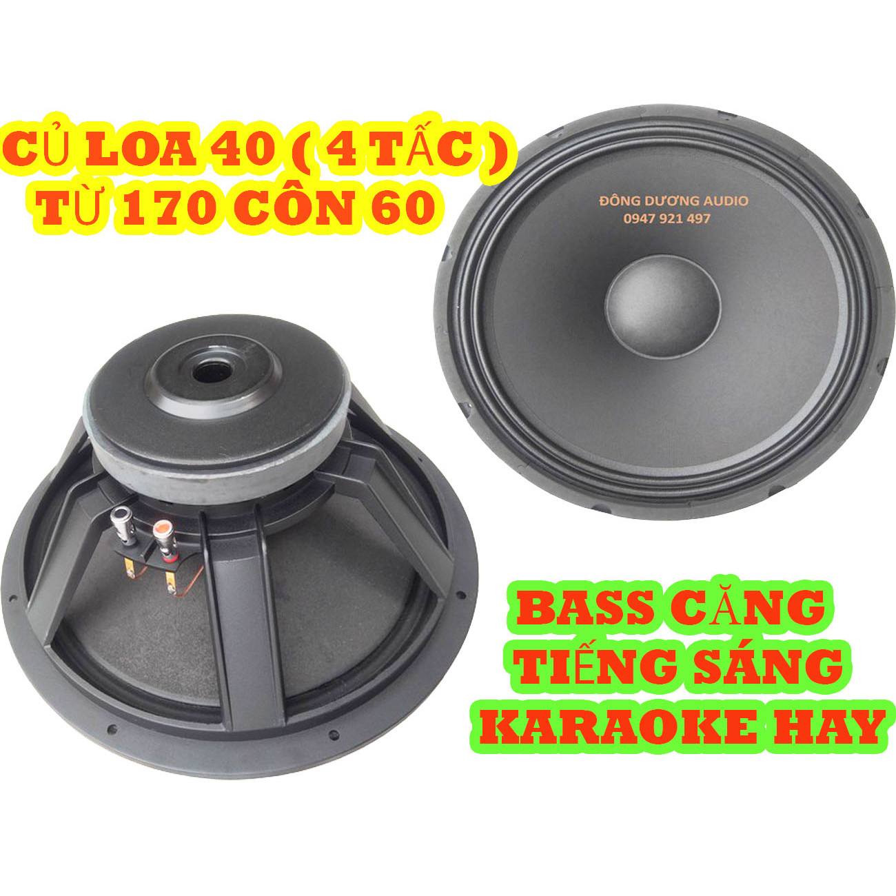 CỦ LOA FULL BASS 40 TỪ 170 COIL 60 - KHUNG NHÔM GÂN VẢI