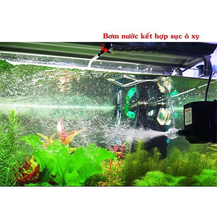 Bơm Lifetech AP3500 dùng máy bơm bể cá cảnh, trồng thủy canh, hệ thống aquaponics ...