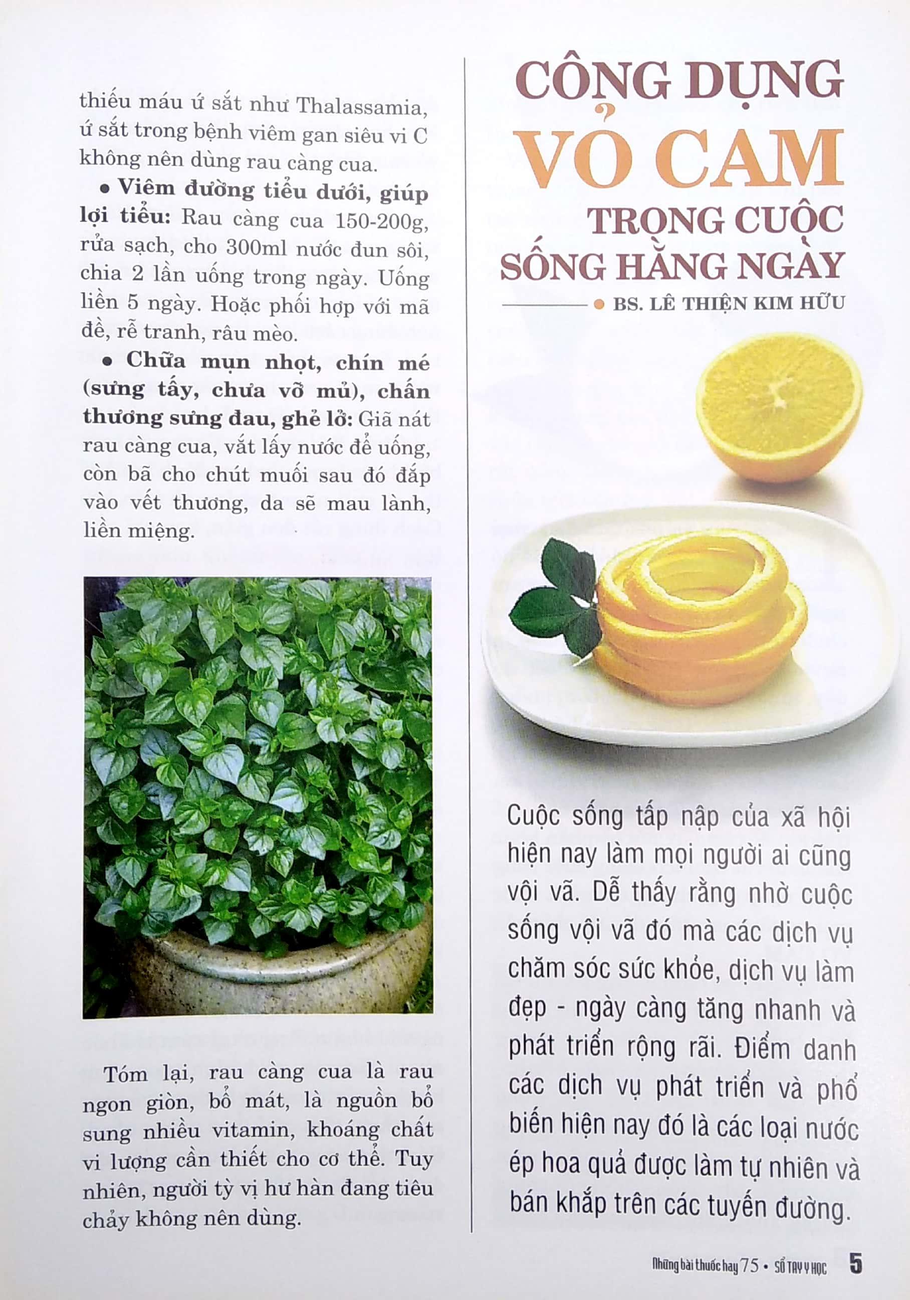 Sổ Tay Y Học - Những Bài Thuốc Hay 75