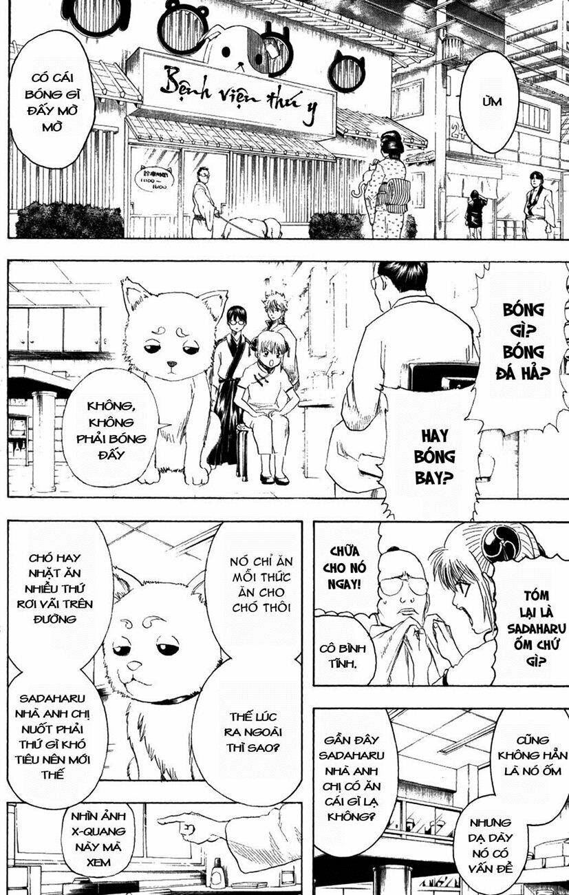 gintama - linh hồn bạc chapter 207 4
